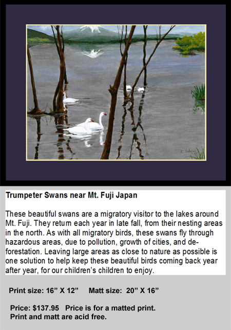 Japanese Swans near Mt Fuji